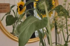 20260817_220101-rotated-1